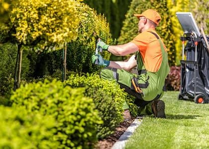 garden maintenance services dubai
