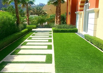 lawn care in UAE